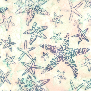 Q2167 300 - Starfish