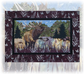 Return to the Wild: Elk